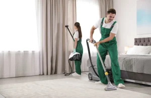 How do Professional Carpet Cleaning Services Work?